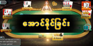 Read more about the article M9 Shan Koe Mee APK ကို ဒေါင်းလုဒ်လုပ်နည်း