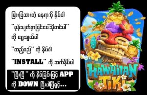 Read more about the article Enjoy Shan APK slot, fishing, card game ဂိမ်းအကြောင်း လုပ်ဆောင်ချက်နှင့်လုံခြုံရေးများ